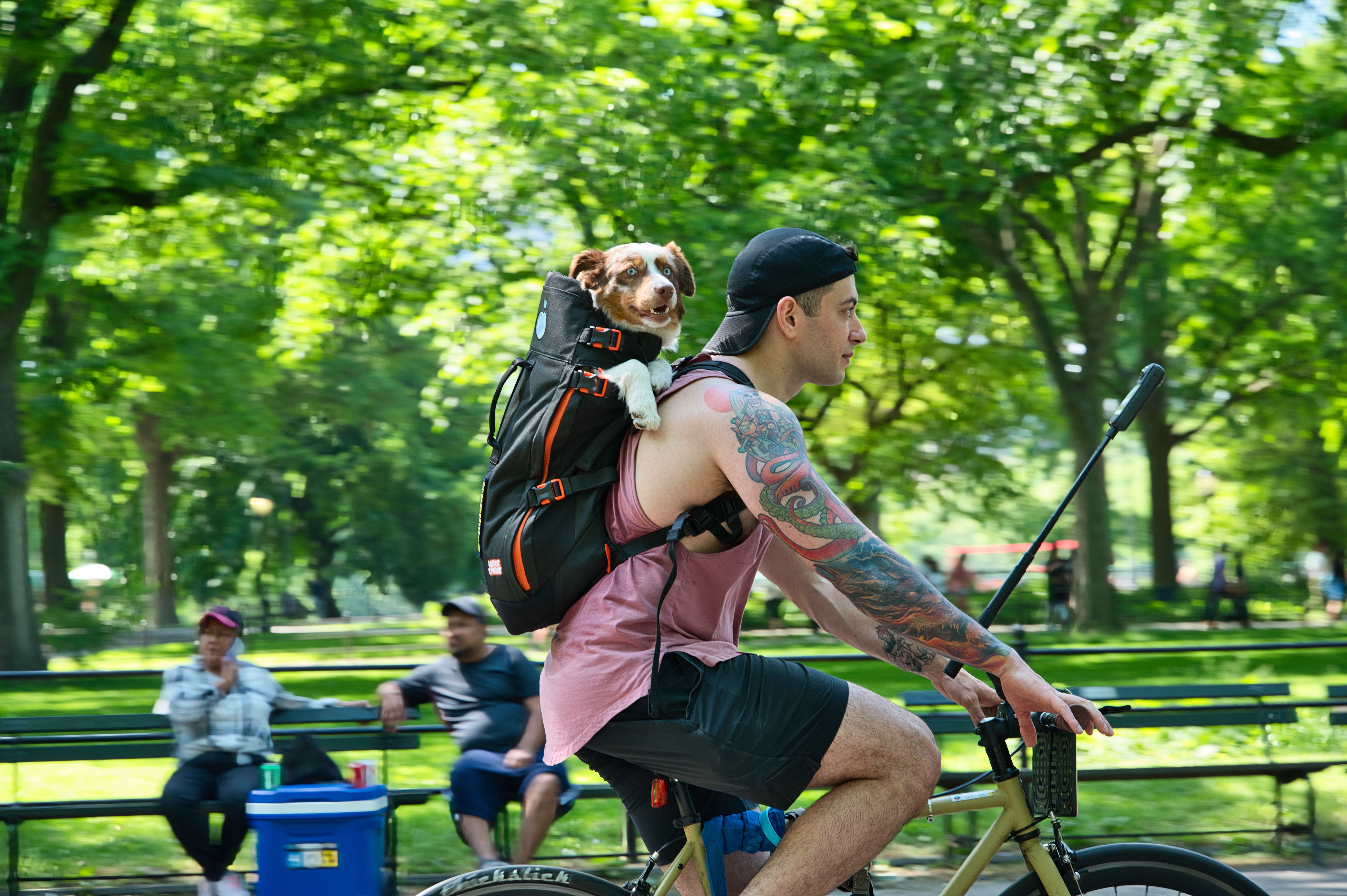 Pet Carrier Backpack for Small Dogs and Cats alternate view