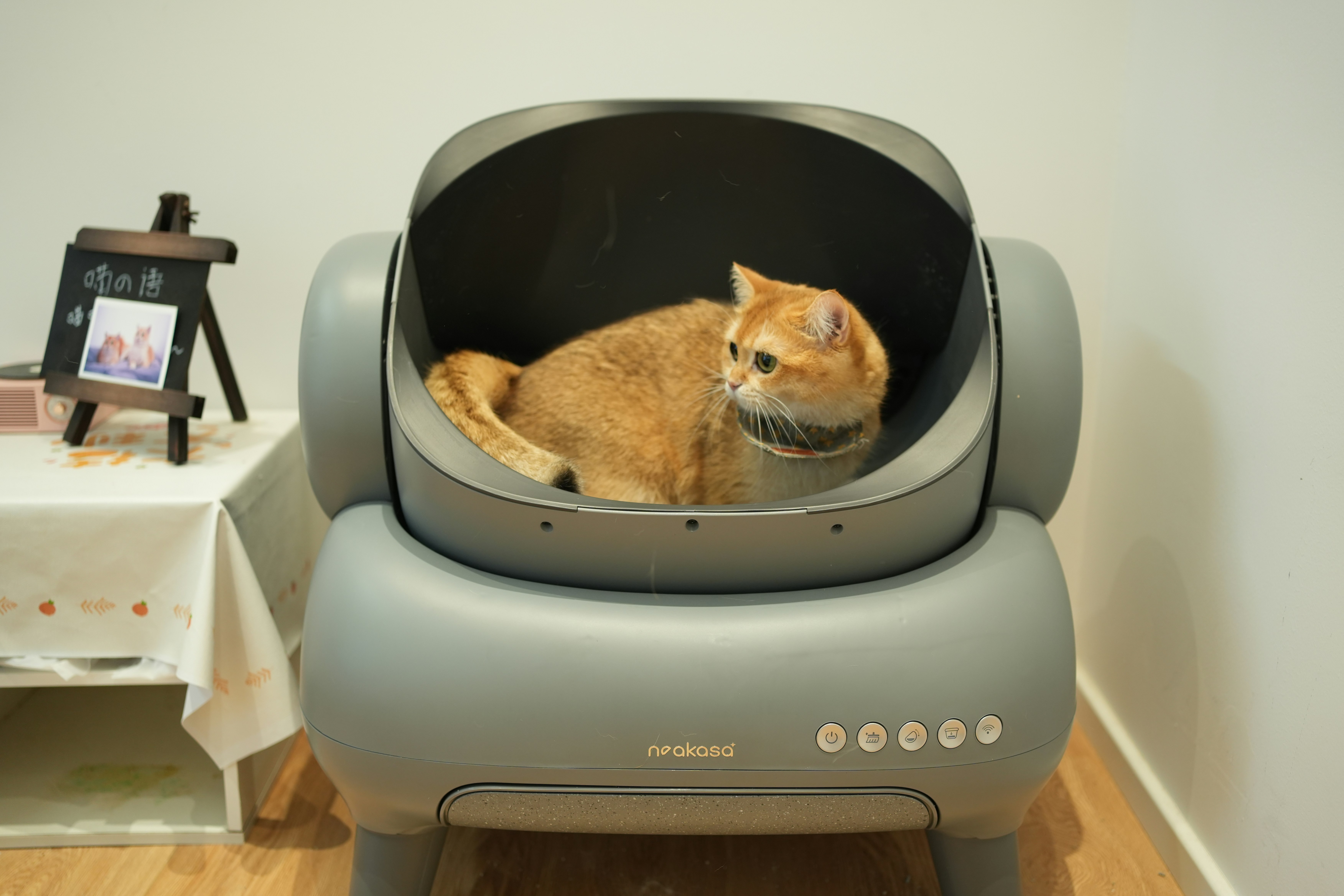 Self-Cleaning Litter Box Scoop alternate view